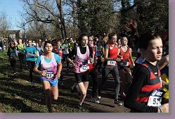 Begles 15.12.13 01 458 * 679 x 453 * (169KB)